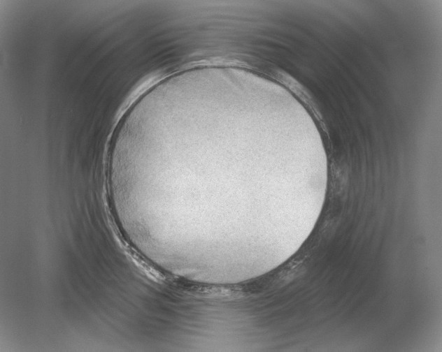 X0000078851002200612111617