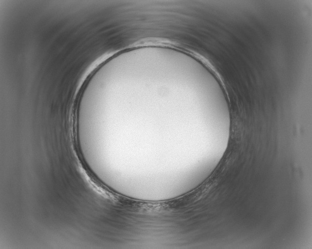 X0000078851003200612111617