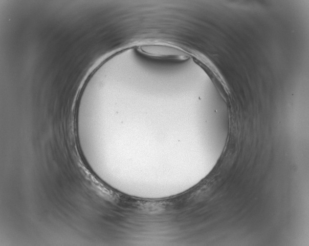 X0000078851004200612111617