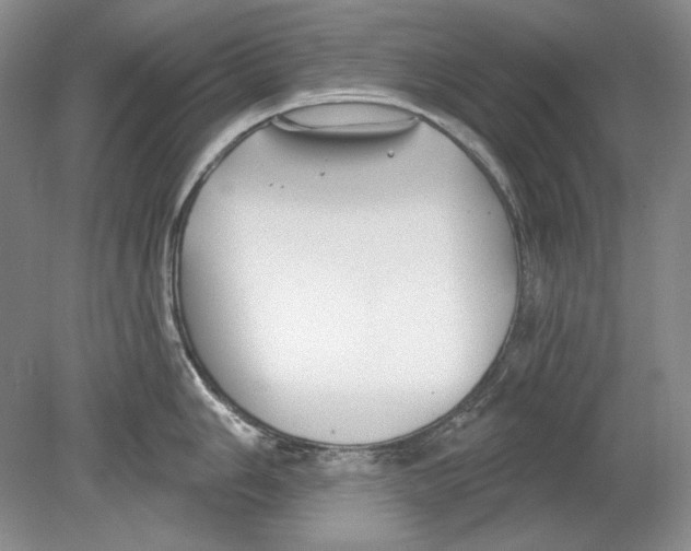 X0000078851006200612111617