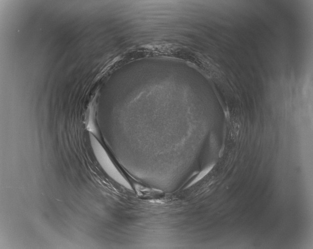 X0000078851010200612111616