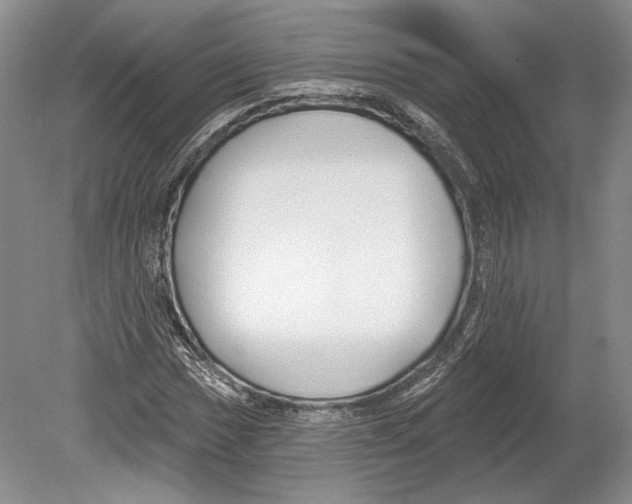X0000078851017200612111616