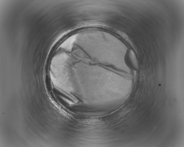 X0000078851024200612111616