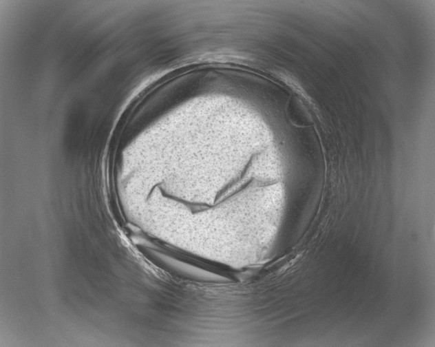 X0000078851032200612111616