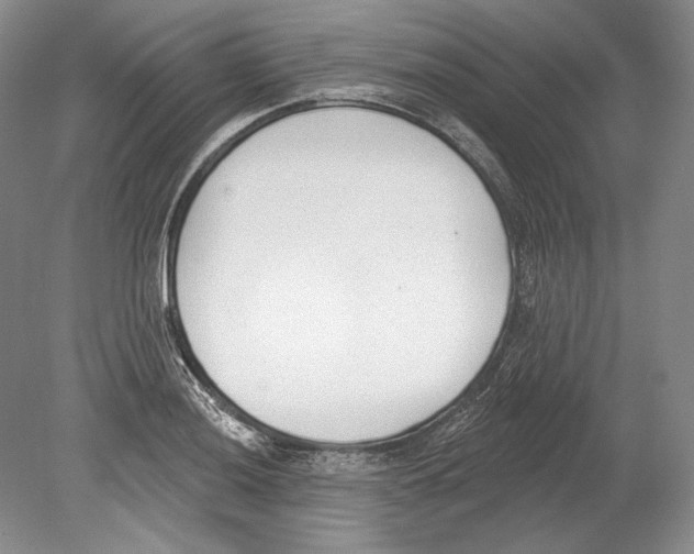 X0000078851036200612111616