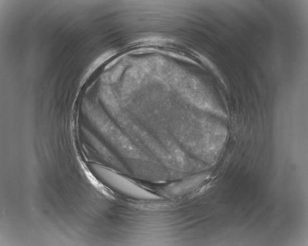 X0000078851042200612111616
