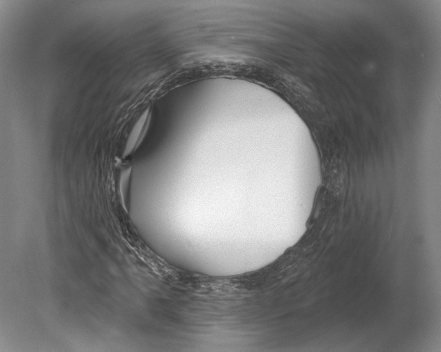 X0000078851061200612111616