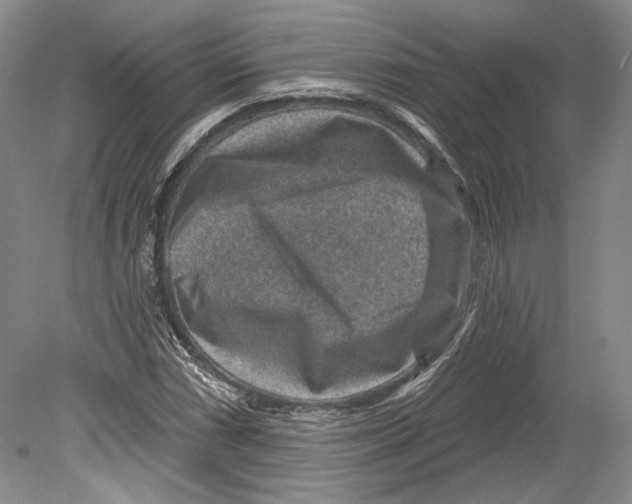 X0000078851066200612111615