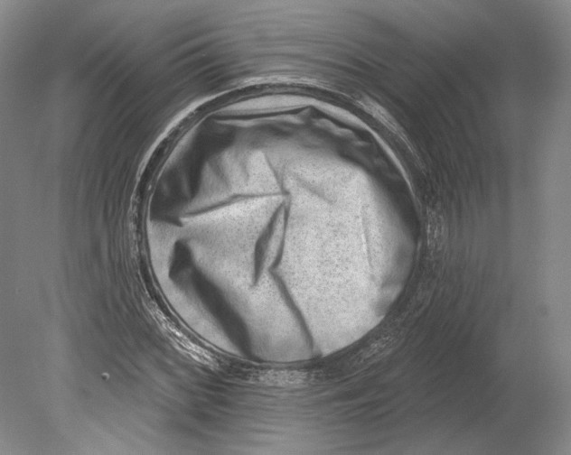X0000078851068200612111615