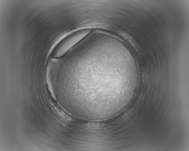 X0000078851069200612111615