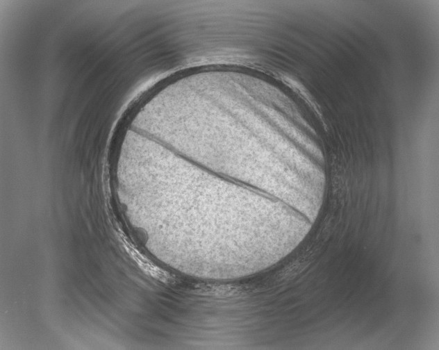 X0000078851072200612111615
