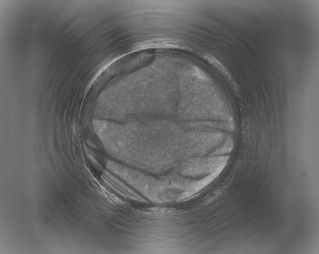 X0000078851081200612111615