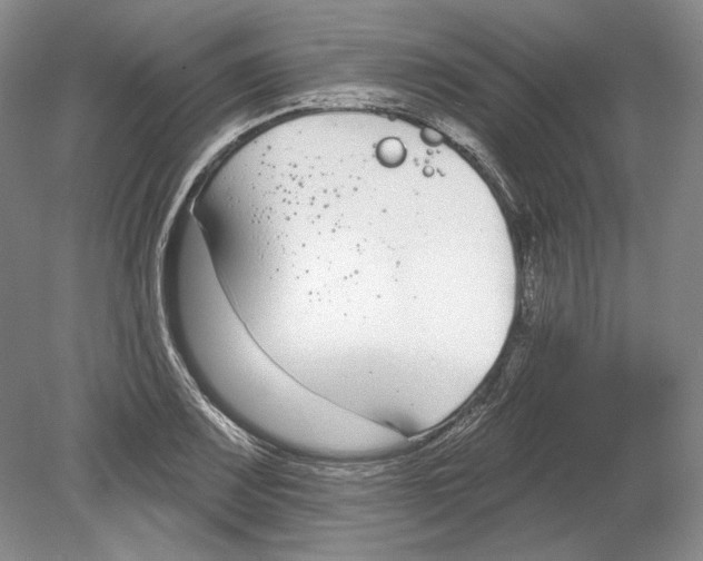 X0000078851083200612111615
