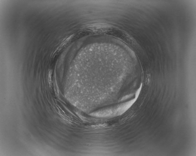X0000078851108200612111614