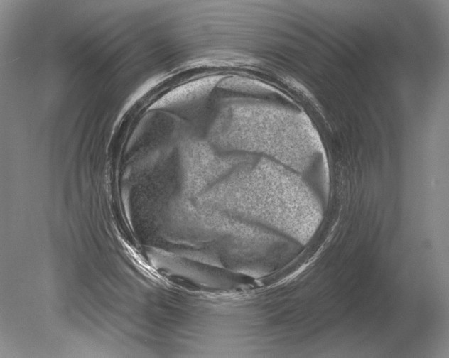 X0000078851114200612111614