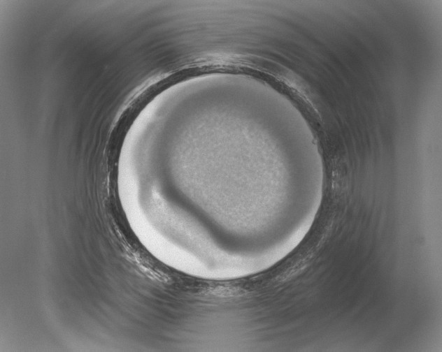 X0000078851117200612111614