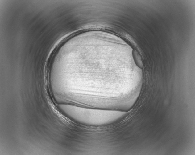 X0000078851124200612111614