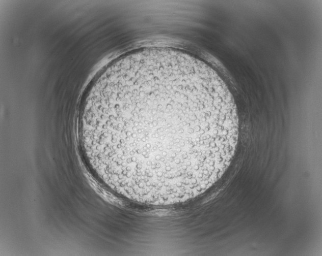 X0000078851130200612111614