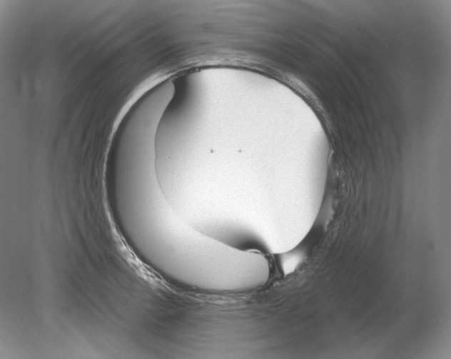 X0000078851138200612111615