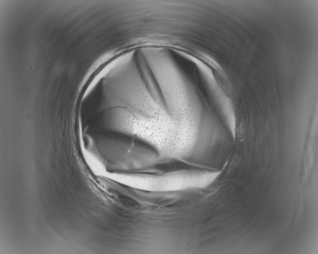 X0000078851146200612111615