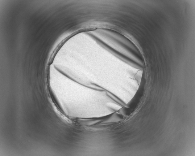 X0000078851152200612111615