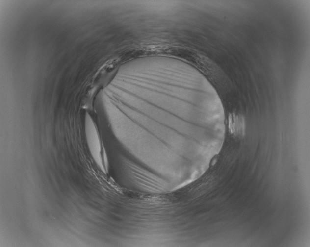 X0000078851155200612111614