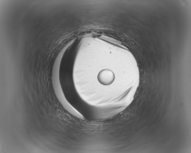 X0000078851157200612111614