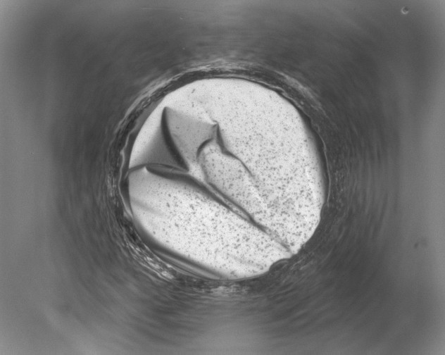 X0000078851160200612111614