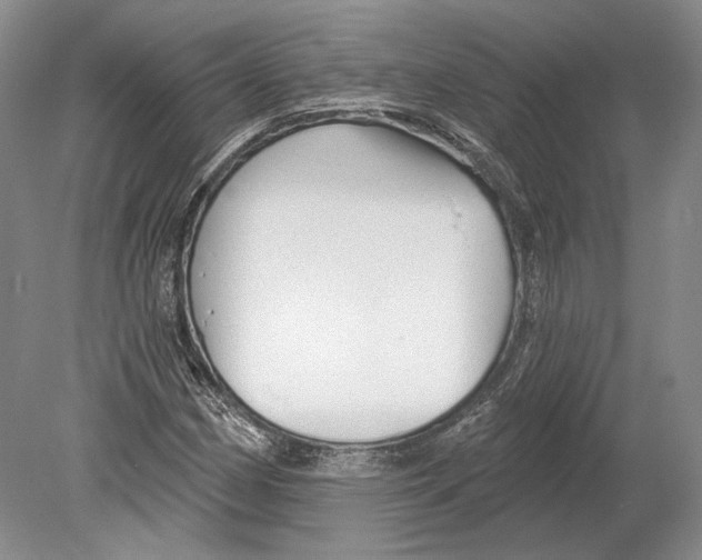 X0000078851162200612111614