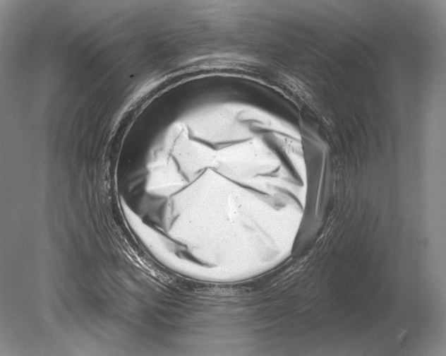 X0000078851164200612111614