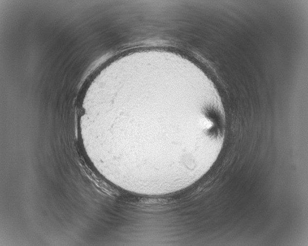 X0000078851171200612111614