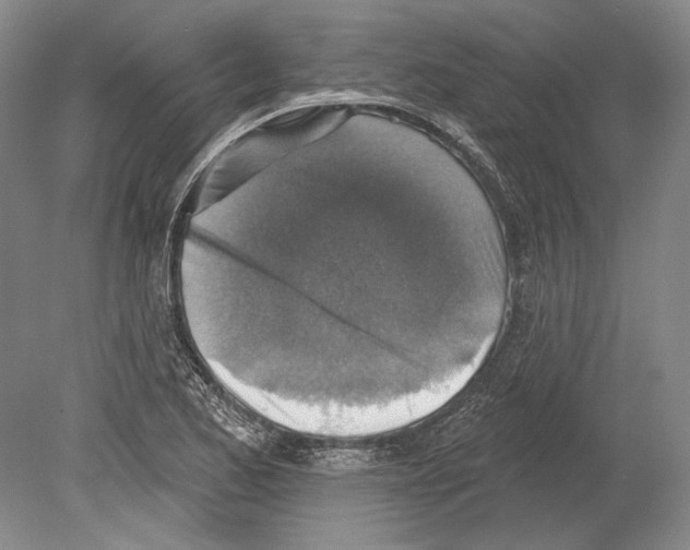 X0000078851173200612111614