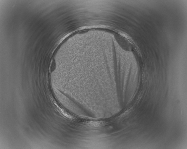 X0000078851177200612111614