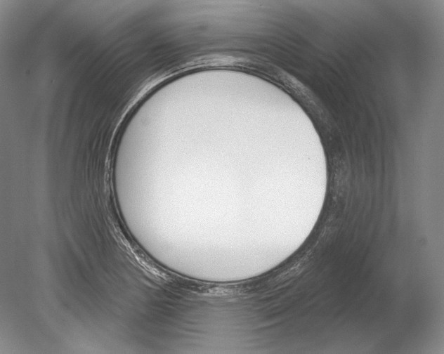 X0000078851178200612111614