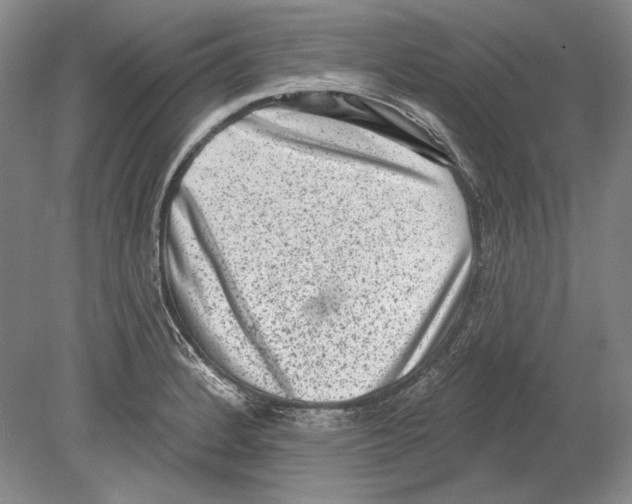 X0000078851184200612111613