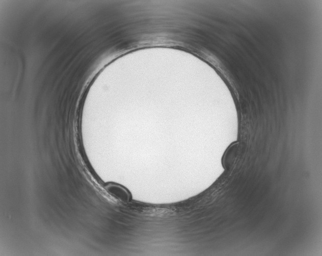 X0000078851187200612111613