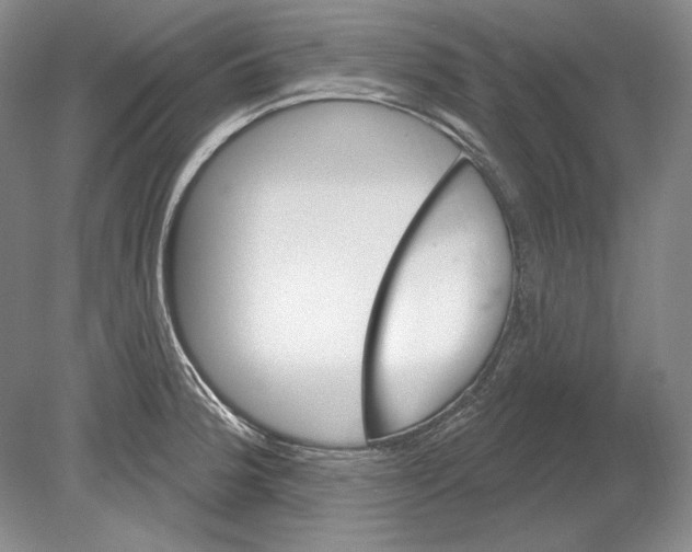 X0000078851188200612111613