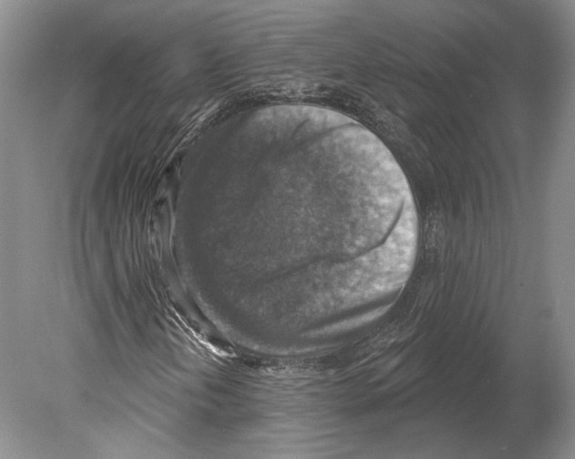 X0000078851202200612111612