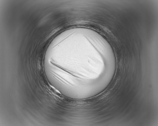 X0000078851209200612111612