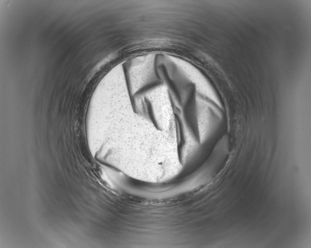 X0000078851210200612111613