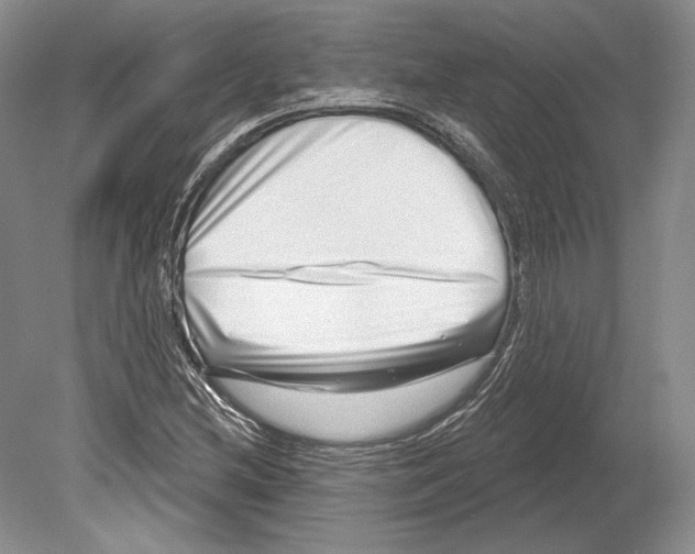X0000078851212200612111613