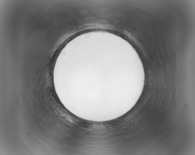 X0000078851215200612111613
