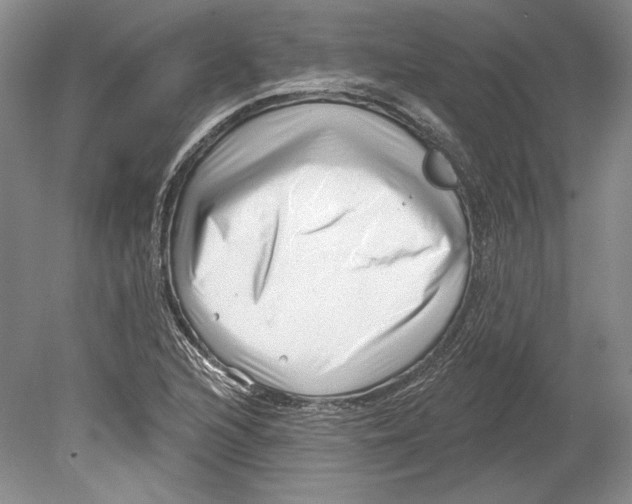 X0000078851216200612111613