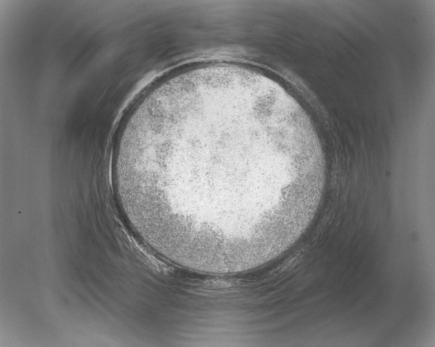 X0000078851224200612111613