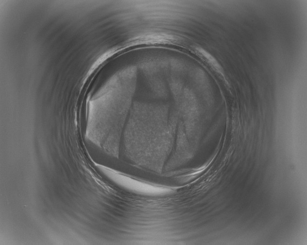 X0000078851226200612111613