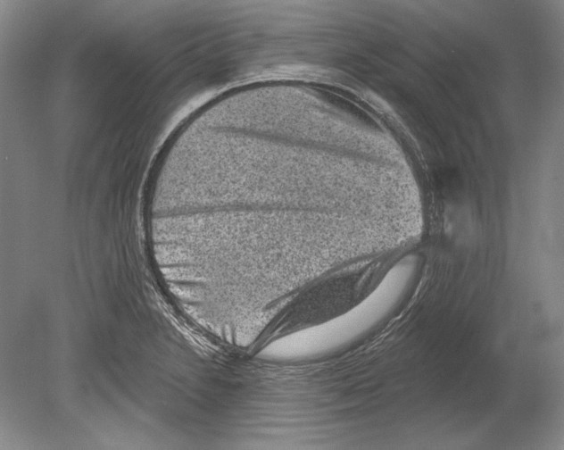 X0000078851230200612111613