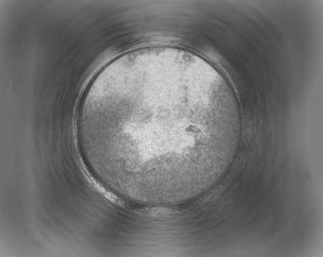 X0000078851235200612111613