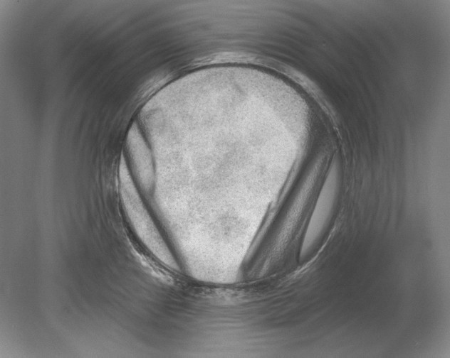 X0000078851241200612111613