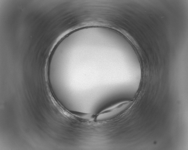 X0000078851246200612111613