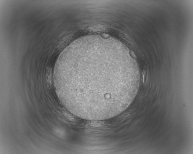 X0000078851251200612111612